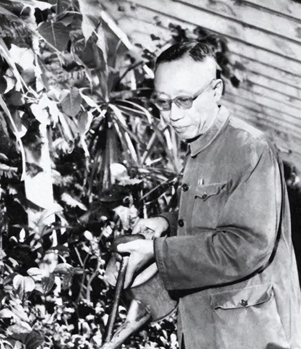 富灯网配资 1961年，溥仪受邀到毛主席家吃饭，毛：你还可以再结婚，要成个家