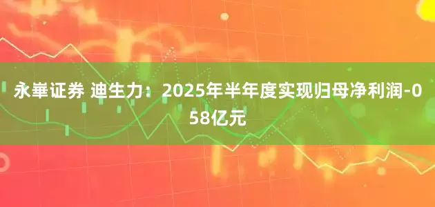 永崋证券 迪生力:2025年半年度实现归母净利润-058亿元