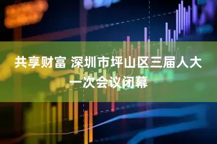 共享财富 深圳市坪山区三届人大一次会议闭幕